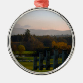 Irland ist schön ornament aus metall