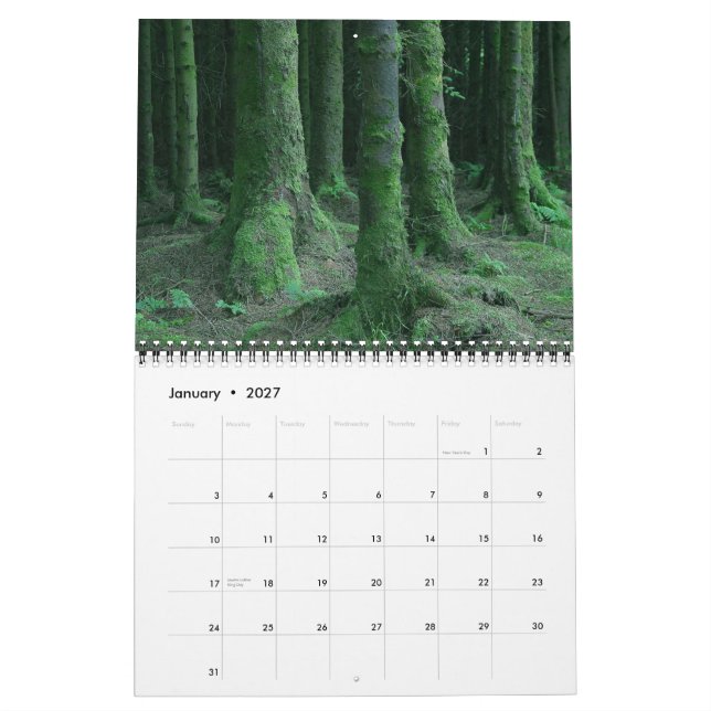 Irland Kalender (Jan 2027)