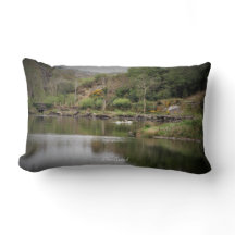 Irland, Landkreis Cork, Lake, Swans, Fotografie