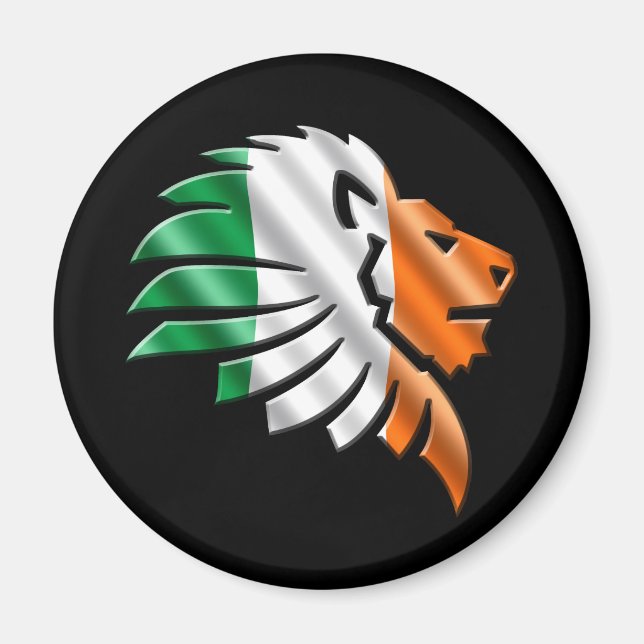 Irland Magnet (Vorne)