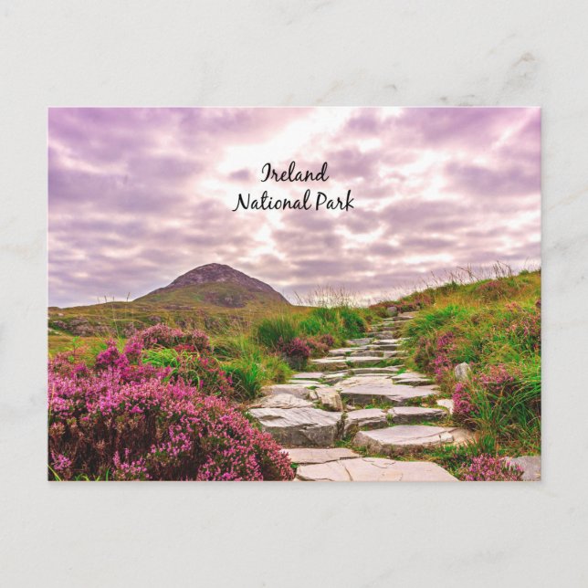 Irland, Nationalpark Postkarte (Vorderseite)