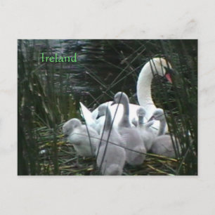Irland Postkarte