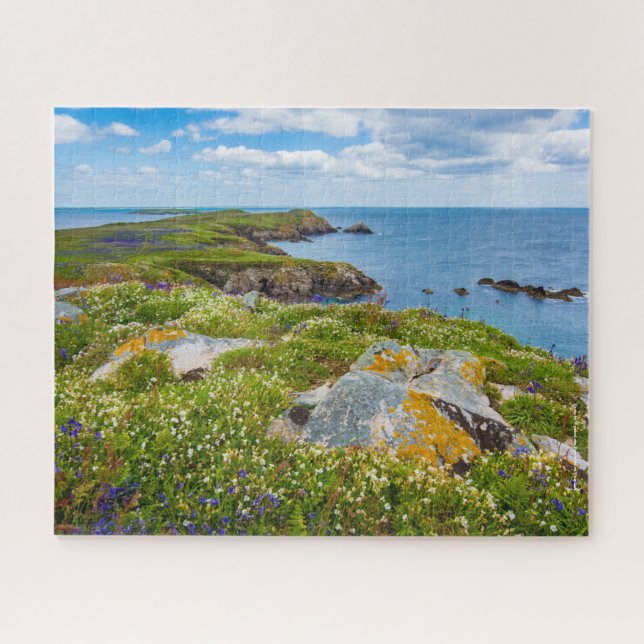Irland, Saltee-Inseln, Puzzle (Horizontal)