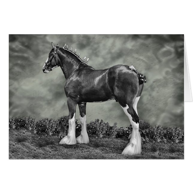 Iron Horse Steele (Vorderseite (Horizontal))