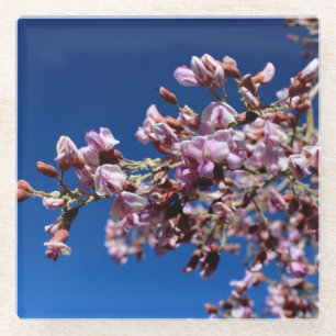 Ironwood-Blume Lila Blogs Glasuntersetzer