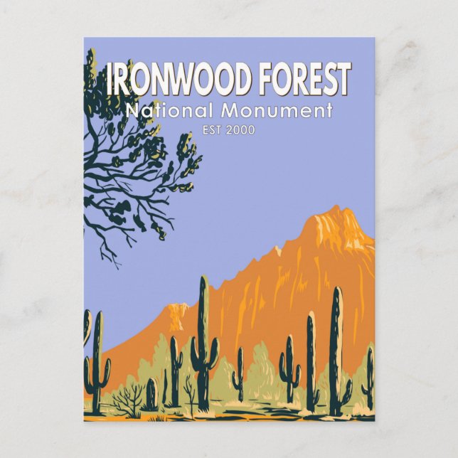Ironwood Forest National Monument Arizona Vintag Postkarte (Vorderseite)
