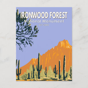 Ironwood Forest National Monument Arizona Vintage- Postkarte