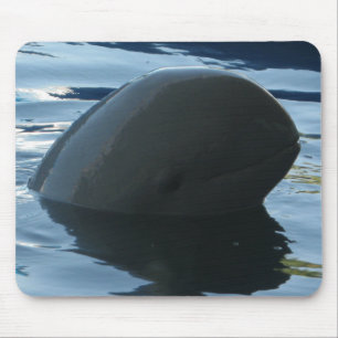 Irrawaddy Delphinpeekaboo Mousepad