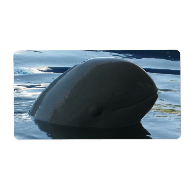 Irrawaddy Dolphin Flüchtige Blick-A-Boo (Vorne)