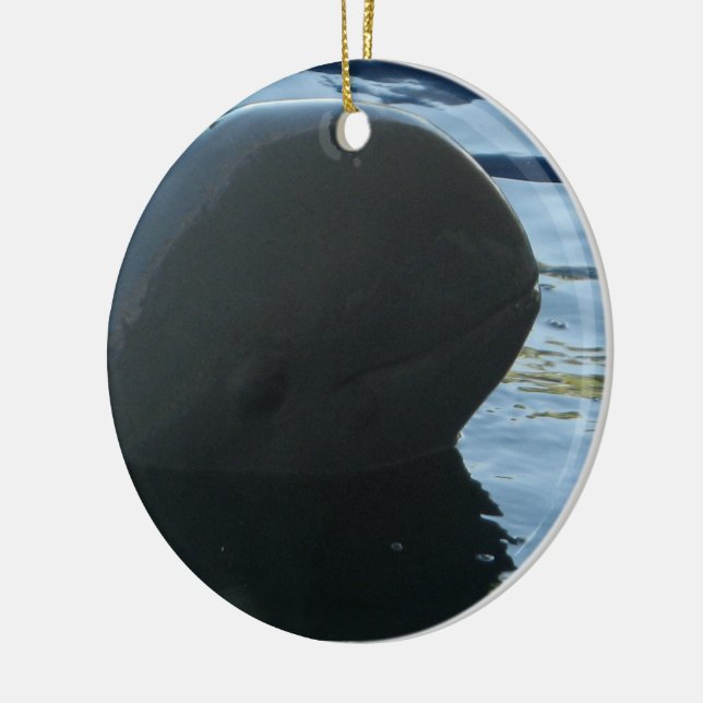 Irrawaddy Dolphin Flüchtige Blick-A-Boo Keramikornament (Links)