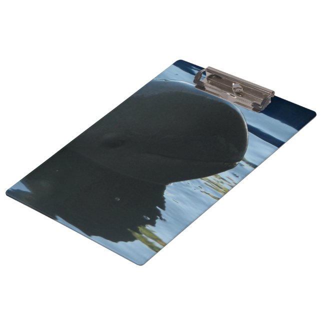 Irrawaddy Dolphin Flüchtige Blick-A-Boo Klemmbrett (Schrägansicht)