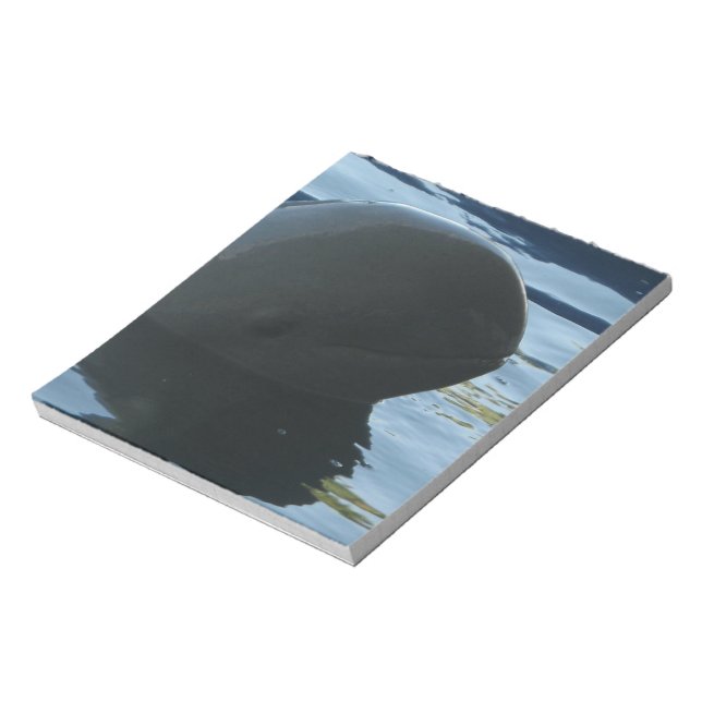 Irrawaddy Dolphin Flüchtige Blick-A-Boo Notizblock (Rotiert)