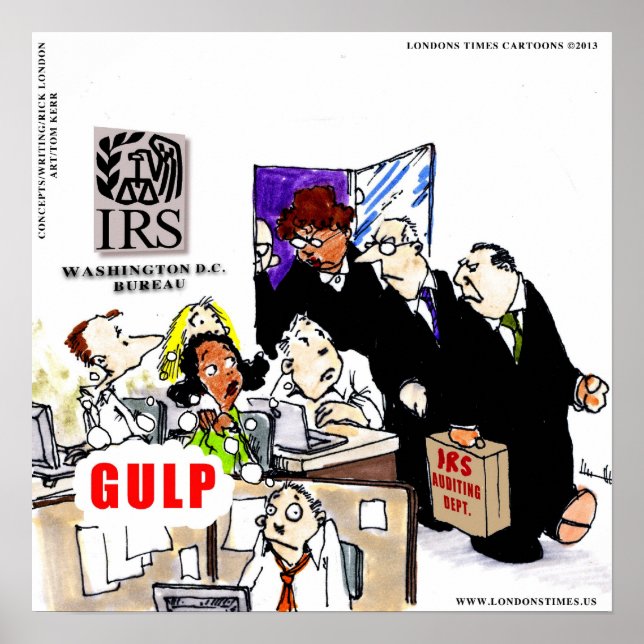 IRS Audits IRS Funny Poster (Vorne)