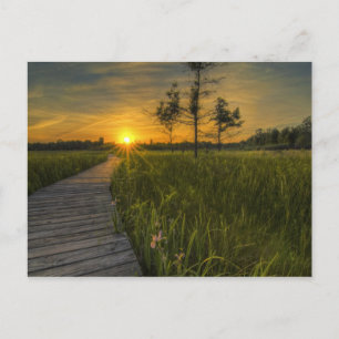 Irwin Prairie Sunset Postcard Postkarte