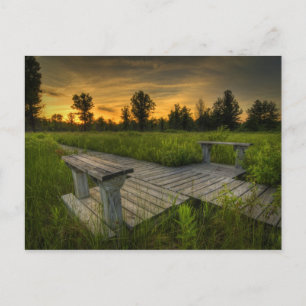 Irwin Prairie Sunset Postcard Postkarte