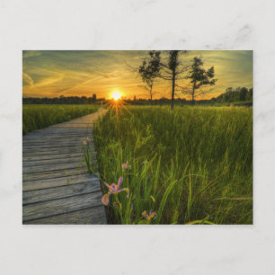 Irwin Prairie Sunset Postcard Postkarte