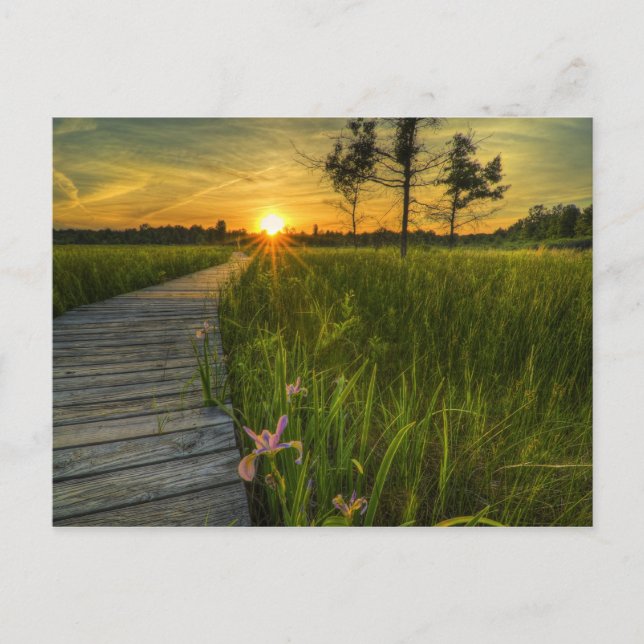 Irwin Prairie Sunset Postcard Postkarte (Vorderseite)