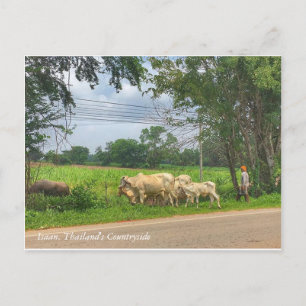 Isaan, Thailands Landschaft Postkarte