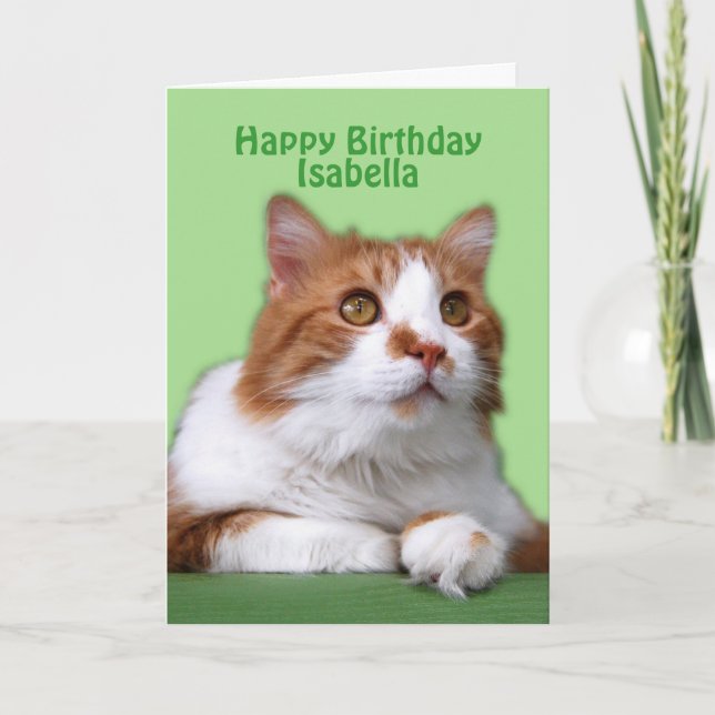 Isabella Happy Birthday Orange und White Cat Karte (Vorderseite)