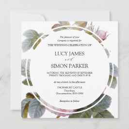 Isabella II, elegante Vintage französische Rose