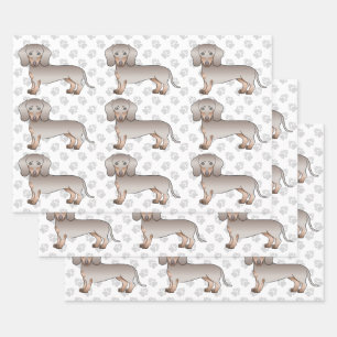 Isabella und Tan glatthaariges Dachshund-Hundemust Geschenkpapier Set