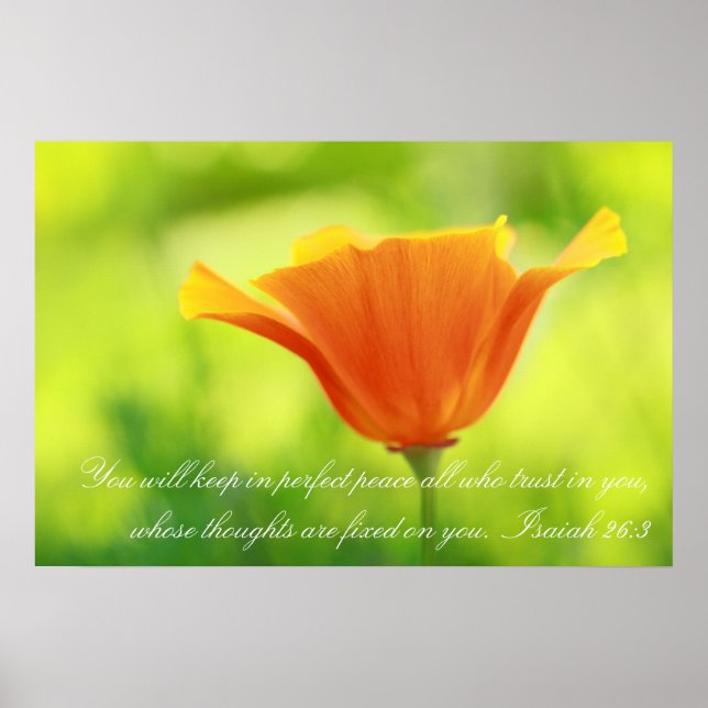Isaiah 26:3, Orangenmohn Poster (Vorne)