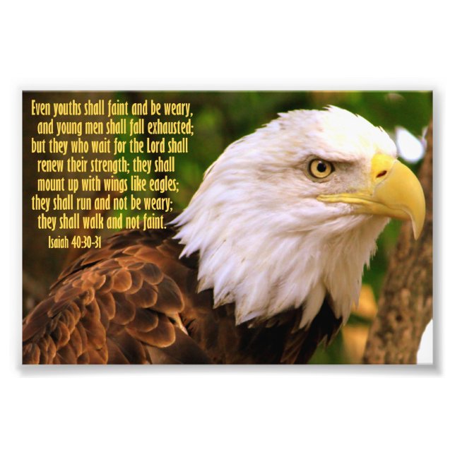 Isaiah 40:30-31 mit Bald Eagle Fotodruck (Vorne)