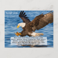 Isaiah 40:31 Auf der Adlerwoche Postkarte