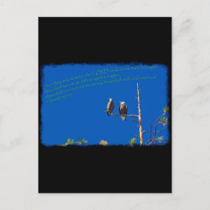 Isaiah 40:31 auf schwarz postkarte