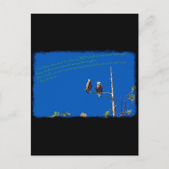 Isaiah 40:31 auf schwarz postkarte (Vorderseite)