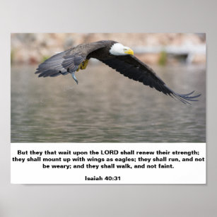 Isaiah 40:31 Berg mit Flügeln wie Adler Poster