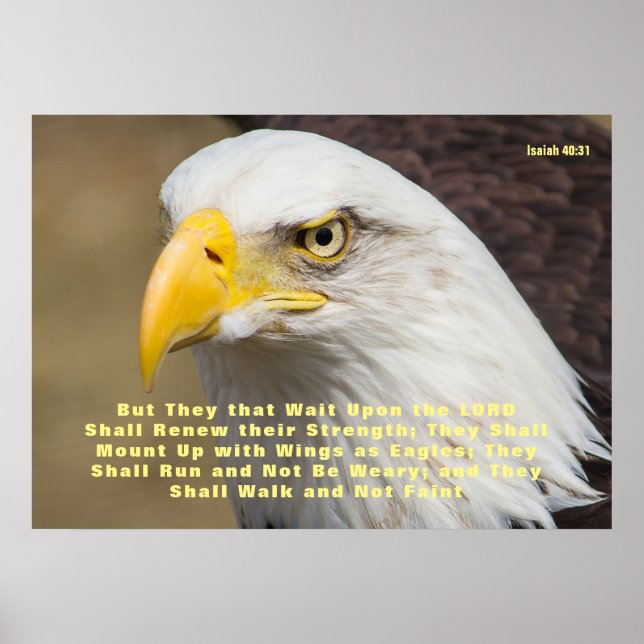 Isaiah 40:31 Bibelverse Monte on Wings Poster (Vorne)