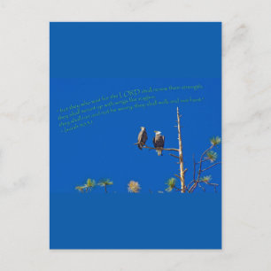 Isaiah 40:31 postkarte