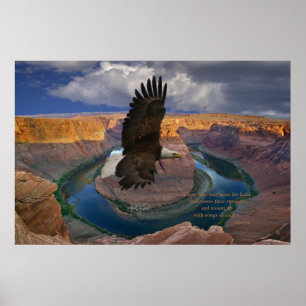 Isaiah 40:31 Schriftendruck Poster