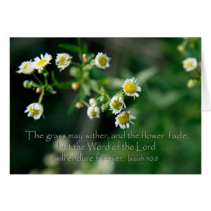 Isaiah 40:8 Das Gras kann verwelken und verblassen