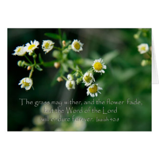 Isaiah 40:8 Das Gras kann verwelken und verblassen