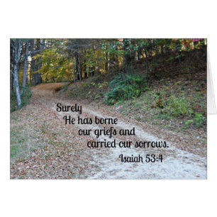 Isaiah 53:4 Sicher hat er unsere Köche getragen..