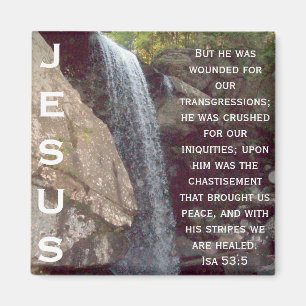 Isaiah 53 Collection Magnet