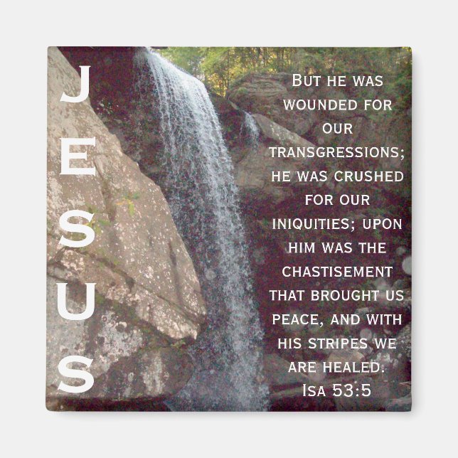 Isaiah 53 Collection Magnet (Vorne)
