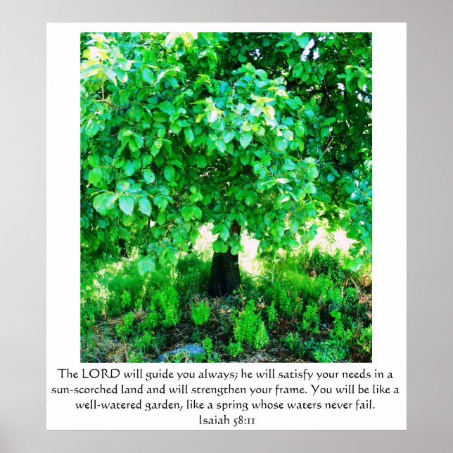 Isaiah 58:11 POSTER (Vorne)