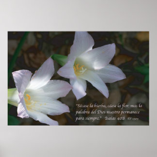 Isaias 40:8 con Lirios Poster