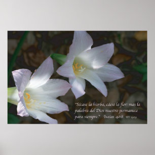 Isaias 40:8betrug Lirios Poster