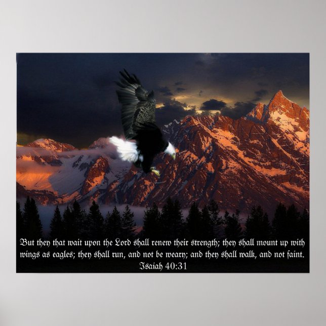 Isaih 40:31 Scripture Eagle Portrait Poster (Vorne)