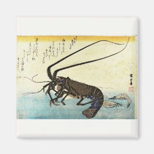 Iseebi & Ebi - Kraubfische (Spiny Lobster) und Gar Magnet