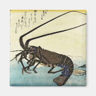Iseebi & Ebi - Kraubfische (Spiny Lobster) und Gar Magnet