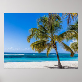 Isla Saona Beach Domenican Poster