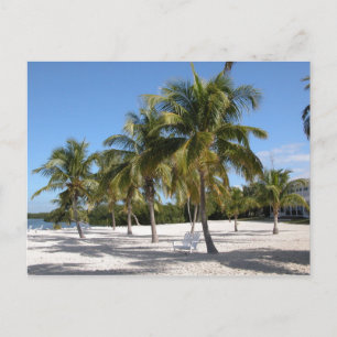 Islamorada Florida Beach Postkarte