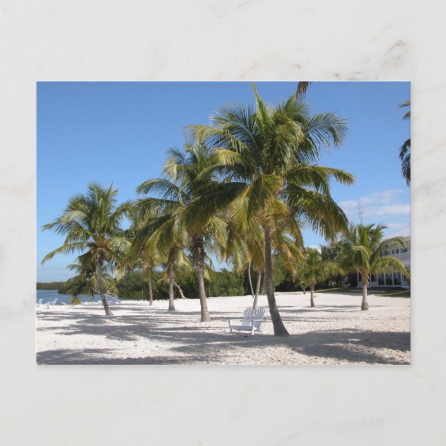 Islamorada Florida Beach Postkarte (Vorderseite)