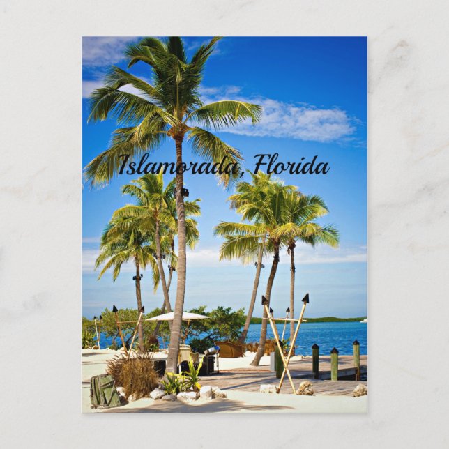 Islamorada, Palmen in Florida Postkarte (Vorderseite)