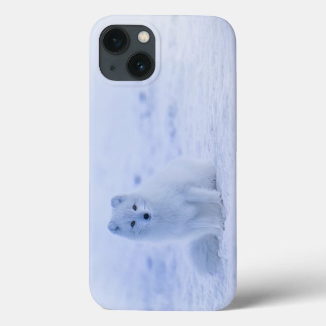 Island Arctic Fox Case-Mate iPhone Hülle (Rückseite)